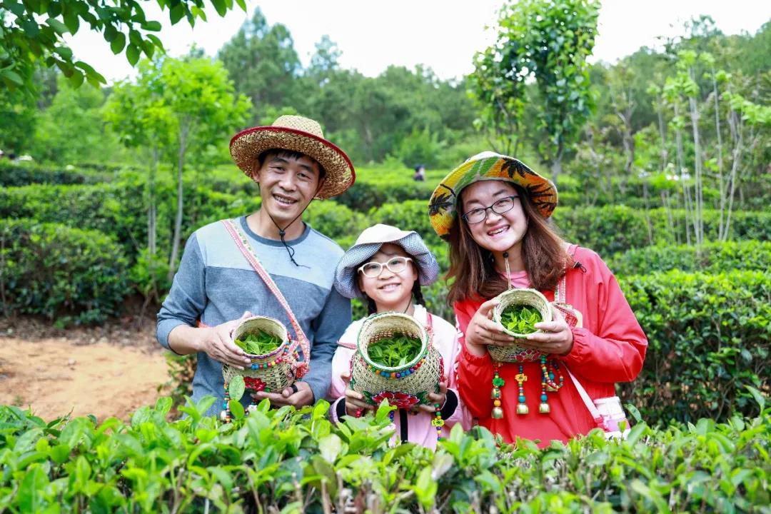 什么顏色最夏天？ 當(dāng)然是郁郁蔥蔥的綠色，周末帶著孩子體驗(yàn)最盎然的綠意