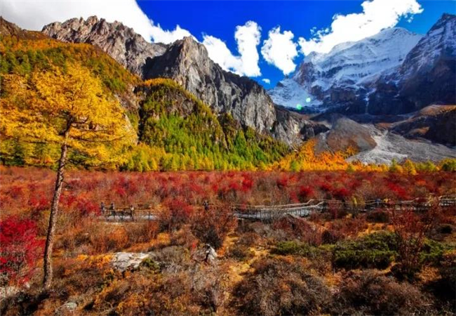 云南旅游攻略稻城亞丁的秋天， 美到炸裂了?。?！